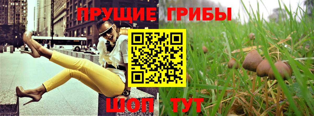 Галлюциногенные грибы прущие грибы  Вход с VPN  Псилоцибиновые грибы Psilocybe  Северск 